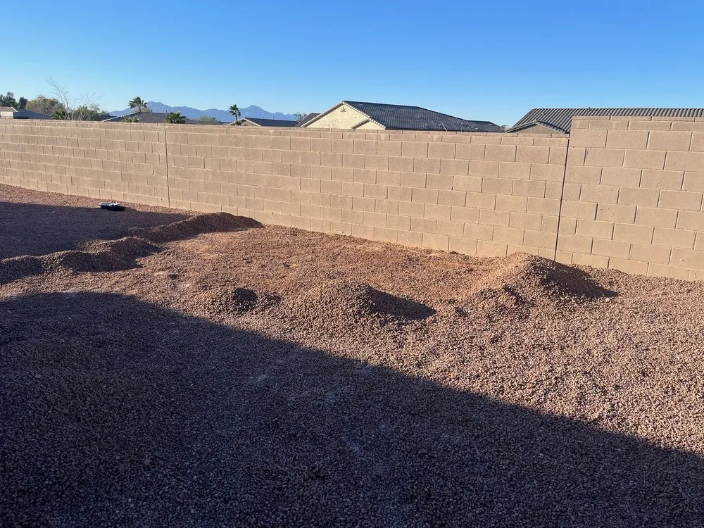 Reliable yard cleanup service experts serving Phoenix, AZ - Treetop Landscaping