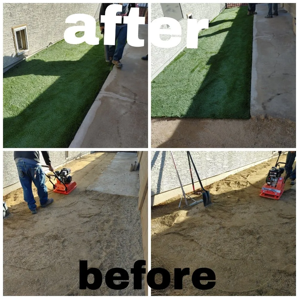 Top-rated lawn care service for year-round maintenance across Phoenix, AZ - Treetop Landscaping