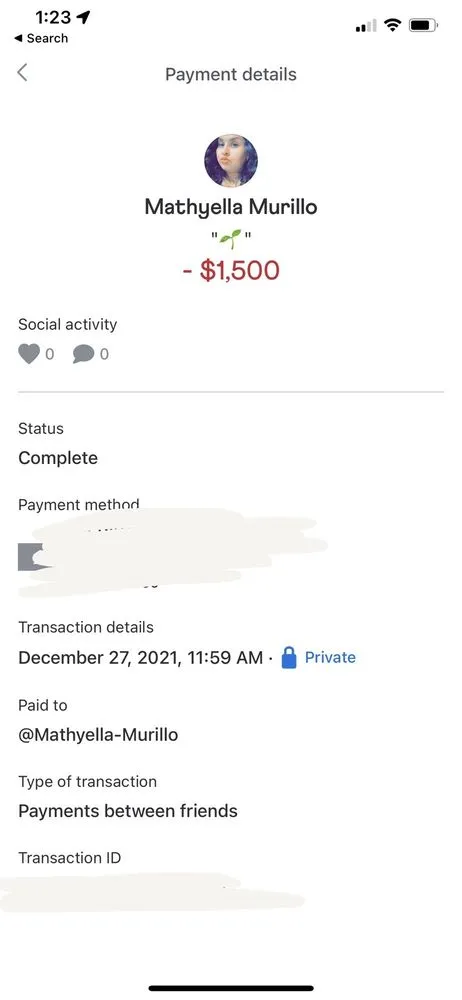 Trusted yard cleanup service in Phoenix, AZ - Treetop Landscaping