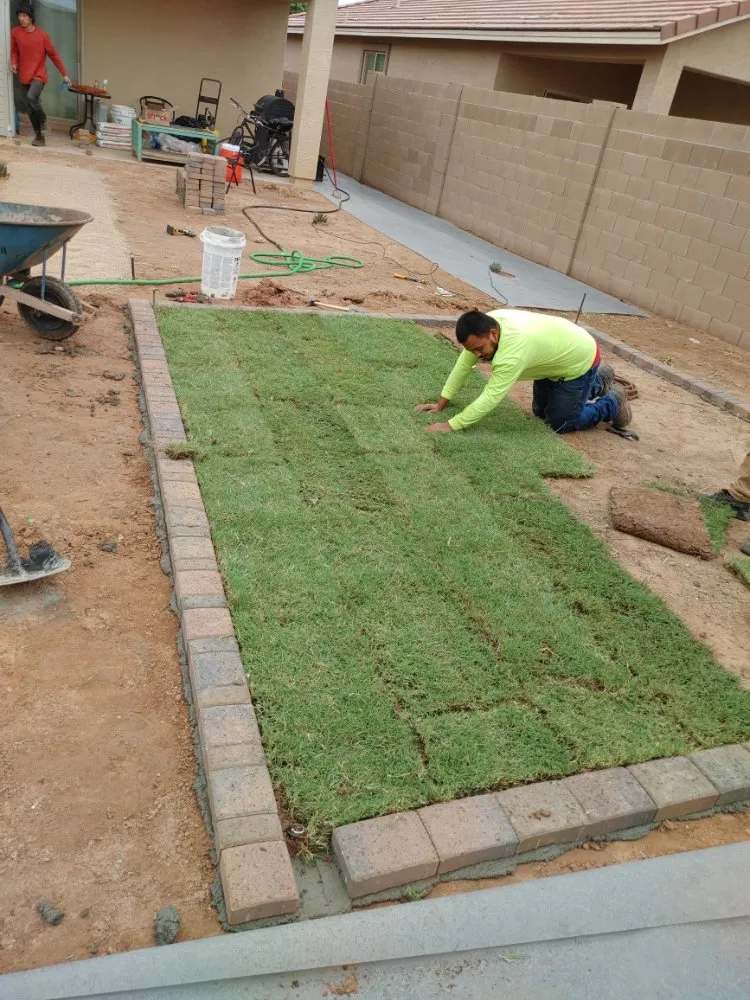Trusted landscape installation for beautiful yards across Phoenix, AZ - Treetop Landscaping