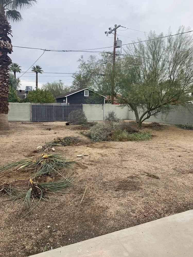 Expert yard maintenance in Phoenix, AZ by Treetop Landscaping