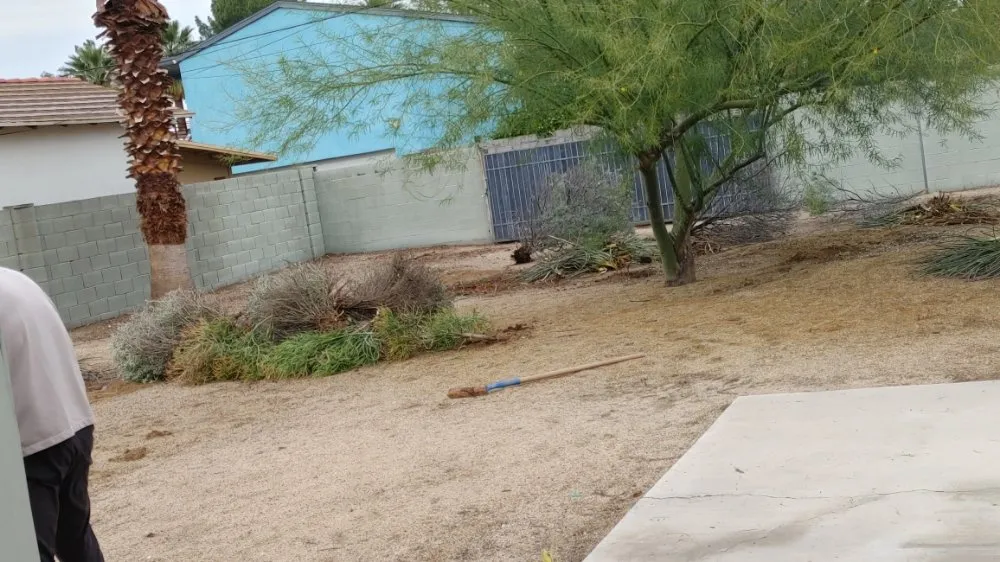 Trusted landscape design in Phoenix, AZ by Treetop Landscaping