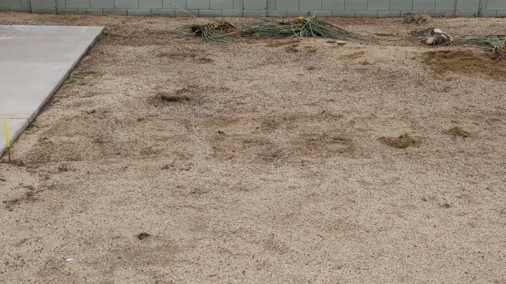 Custom lawn care service experts serving Phoenix, AZ - Treetop Landscaping