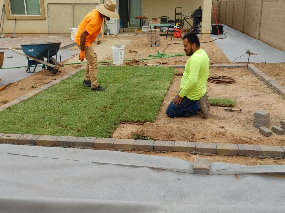 Professional residential landscaping in Phoenix, AZ - Treetop Landscaping