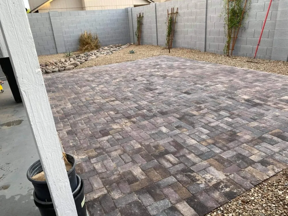 Professional yard cleanup service for residential properties in Phoenix, AZ by Treetop Landscaping