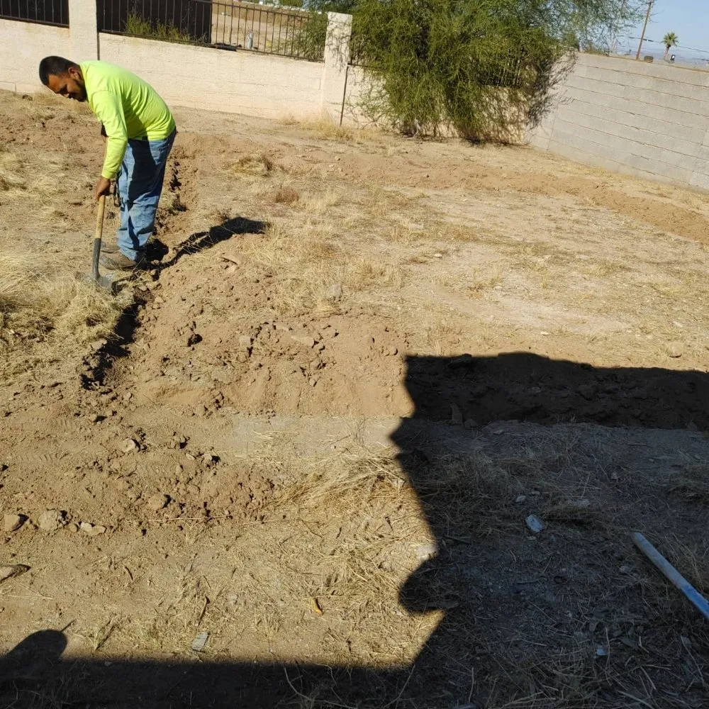 Expert landscaping services in Phoenix, AZ by Treetop Landscaping