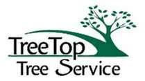 Trusted yard cleanup service experts serving Arlington, TX - TreeTop Tree Service