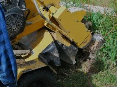 Top-rated garden landscaping in Arlington, TX - TreeTop Tree Service