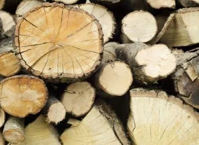 Expert residential landscaping experts serving Arlington, TX - TreeTop Tree Service