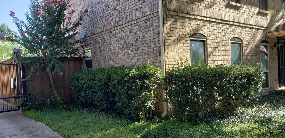 Reliable outdoor landscaping for beautiful yards in Arlington, TX by TreeTop Tree Service