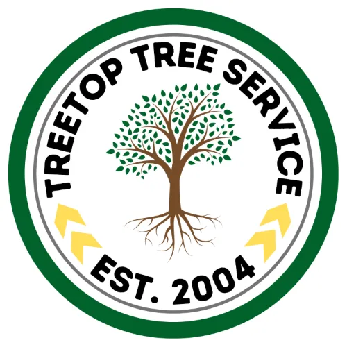 Affordable landscape design experts serving Arlington, TX - TreeTop Tree Service
