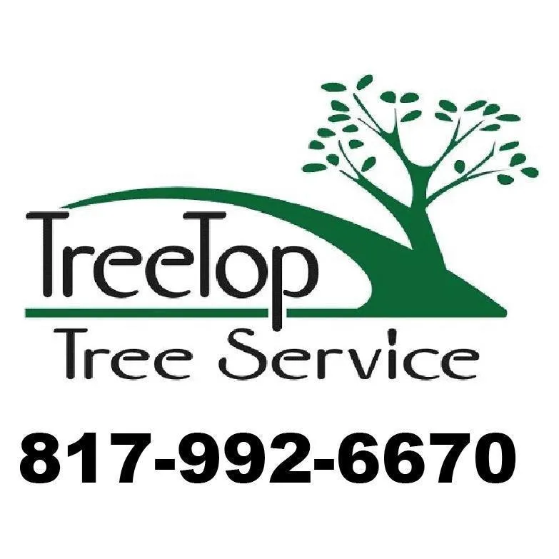 Reliable yard cleanup service for year-round maintenance in Arlington, TX by TreeTop Tree Service