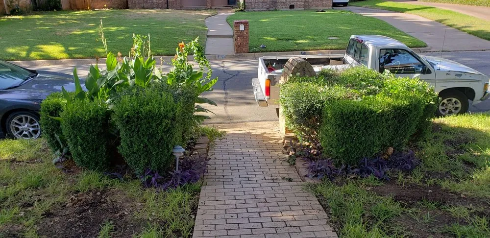 Top-rated lawn mowing service near you in Arlington, TX by TreeTop Tree Service