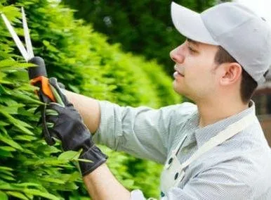 Custom landscaping services for outdoor upgrades in Arlington, TX by TreeTop Tree Service