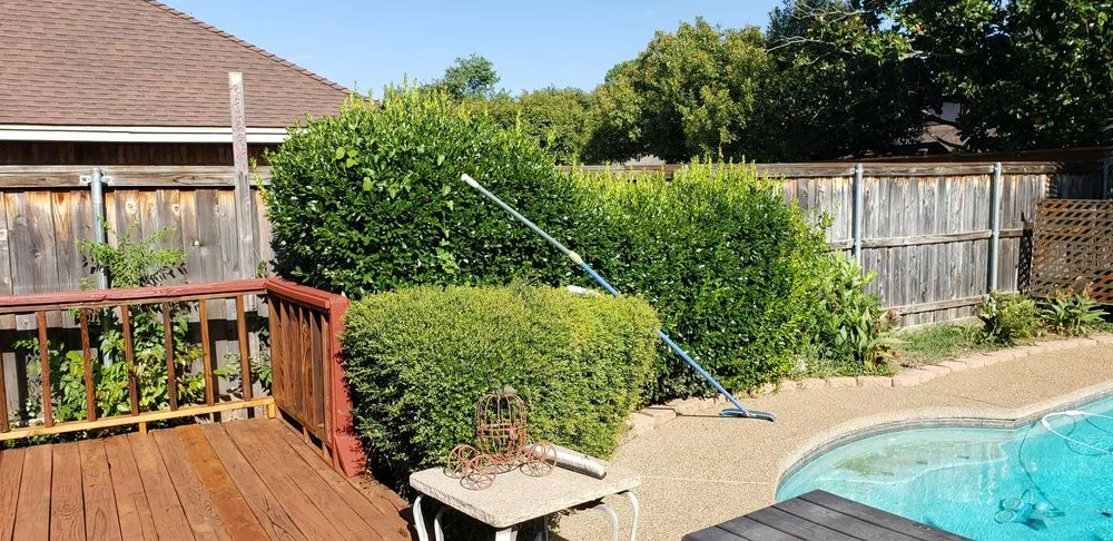 Local residential landscaping experts serving Arlington, TX - TreeTop Tree Service