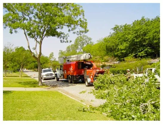 Professional landscape design in Arlington, TX by TreeTop Tree Service