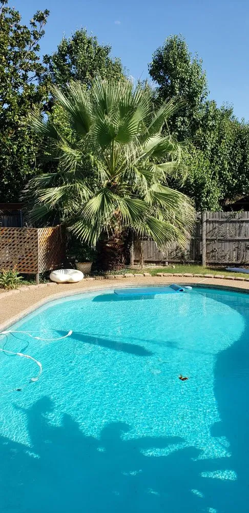 Custom outdoor landscaping for year-round maintenance across Arlington, TX - TreeTop Tree Service