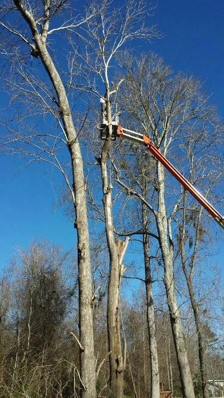 Expert residential landscaping for residential properties in Leland, NC by TreeToppers and More