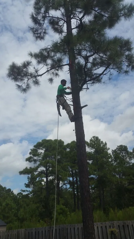 Reliable residential landscaping experts serving Leland, NC - TreeToppers and More