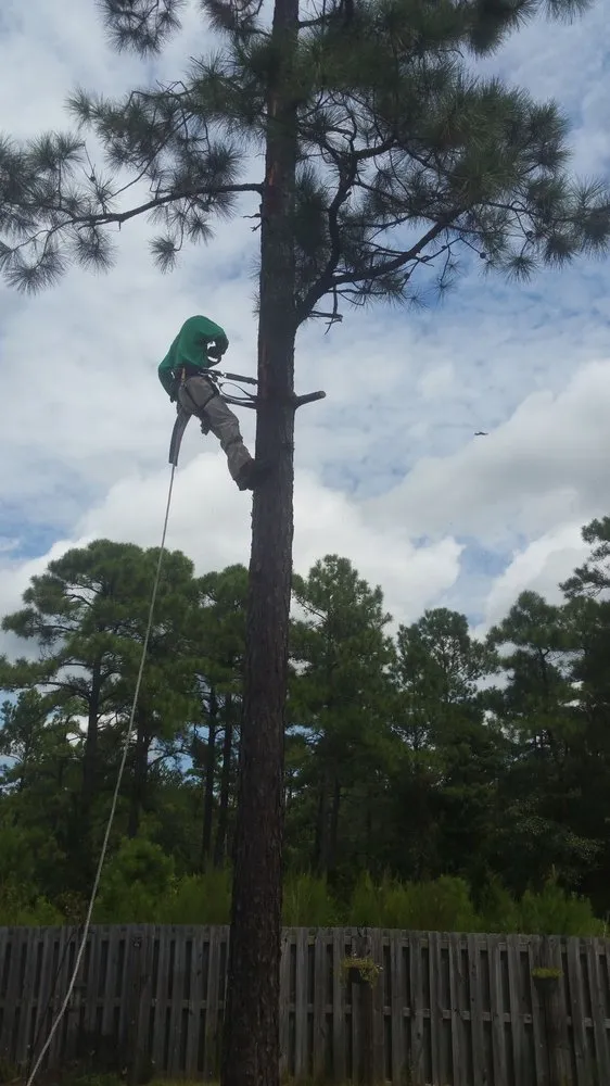 Top-rated landscaping services for year-round maintenance in Leland, NC by TreeToppers and More