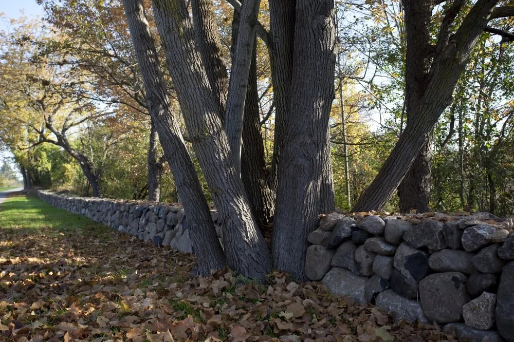 Expert outdoor landscaping in Grafton, WI by Treetops Landscape Design