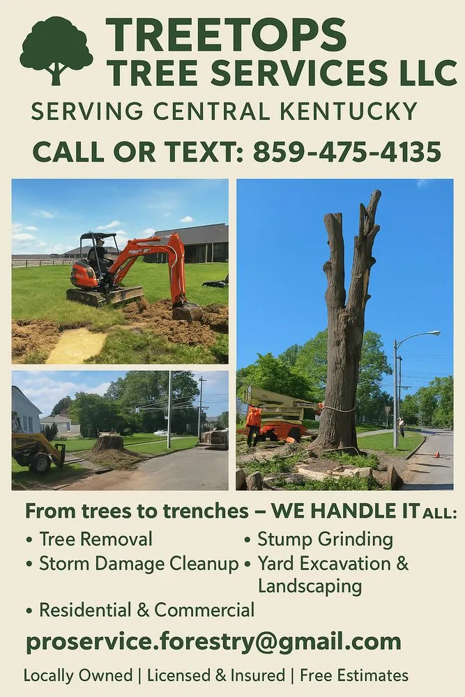 Local landscape design with custom design across Winchester, KY - Treetops Tree Services
