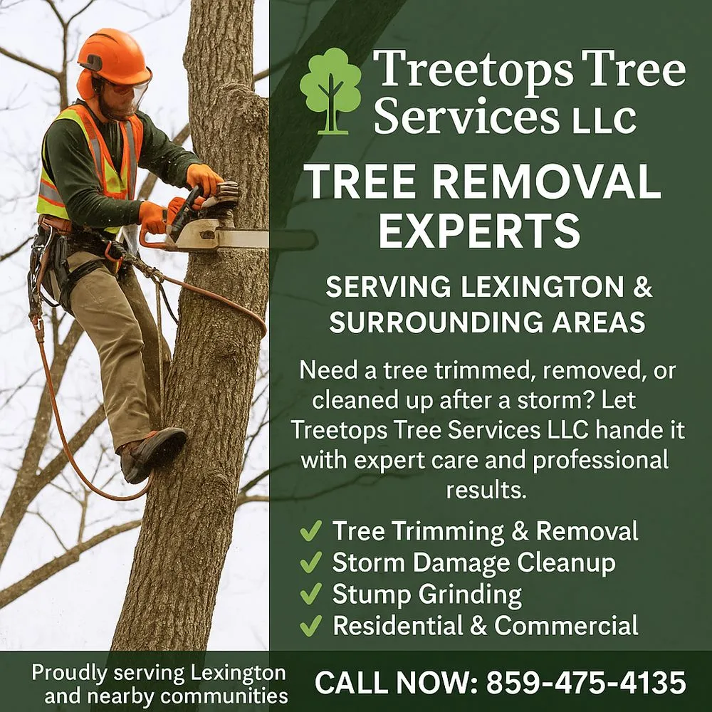 Affordable landscape installation with custom design in Winchester, KY by Treetops Tree Services