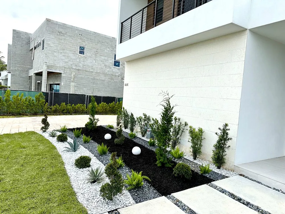 Expert yard cleanup service in Fort Lauderdale, FL - TreeWiz Landscaping