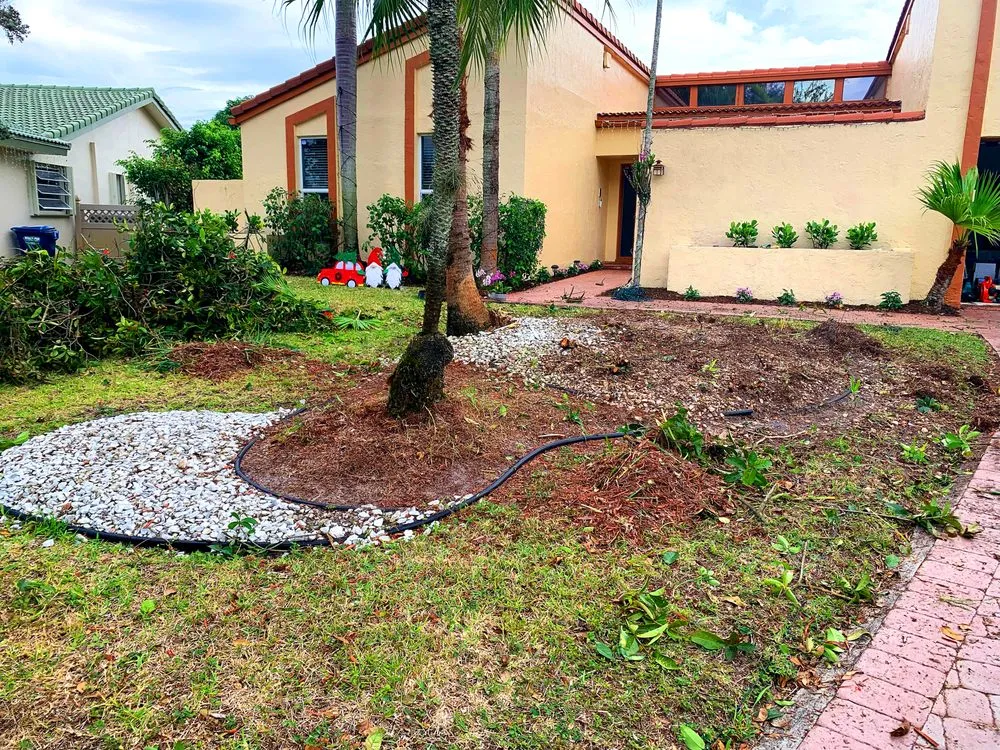 Affordable yard maintenance for outdoor upgrades across Fort Lauderdale, FL - TreeWiz Landscaping