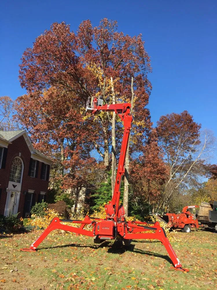 Custom garden landscaping for residential properties across Millis, MA - Treework.Pro