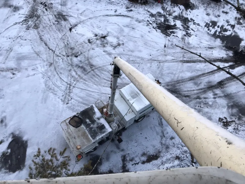 Professional lawn care service experts serving Millis, MA - Treework.Pro