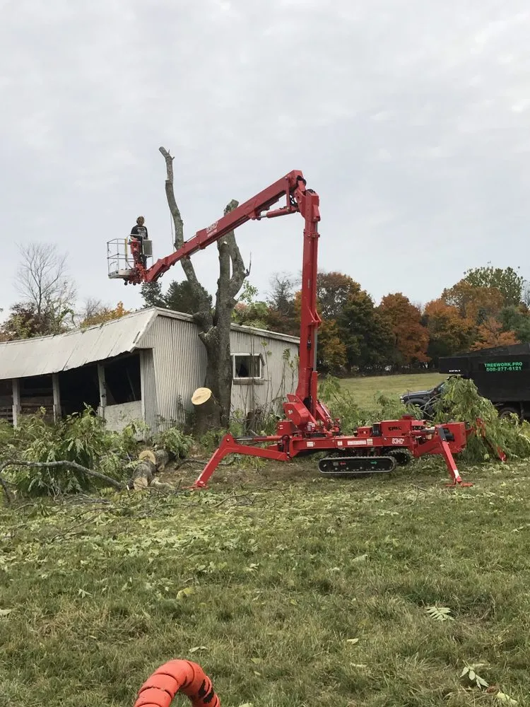 Affordable residential landscaping in Millis, MA - Treework.Pro