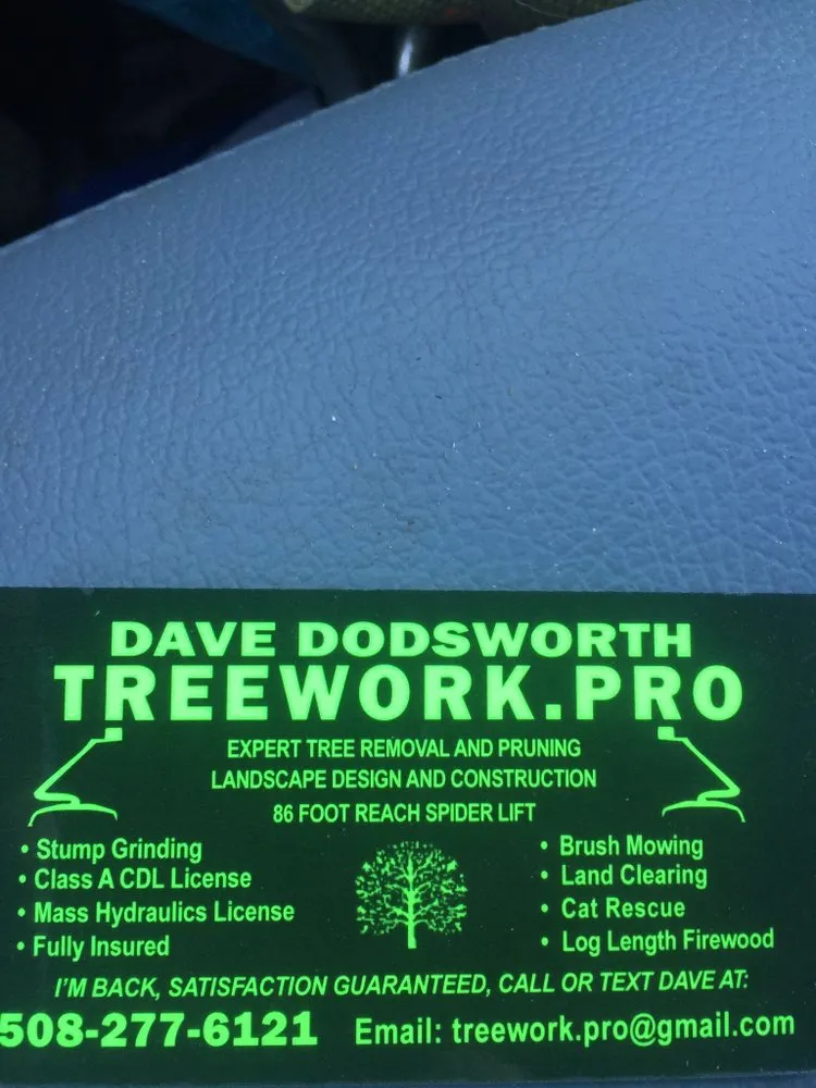 Local landscape installation for residential properties across Millis, MA - Treework.Pro