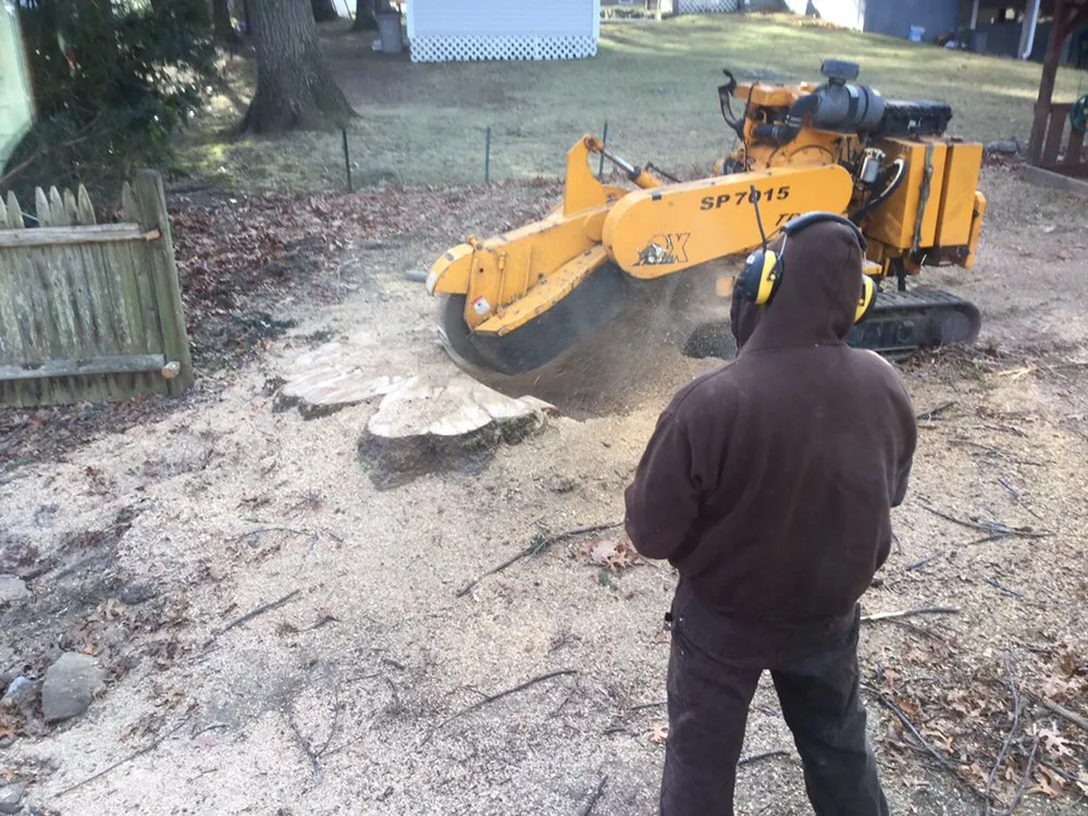 Trusted landscape installation for year-round maintenance across Millis, MA - Treework.Pro