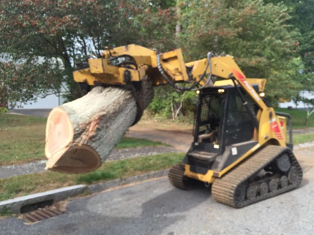 Expert garden landscaping in Millis, MA - Treework.Pro