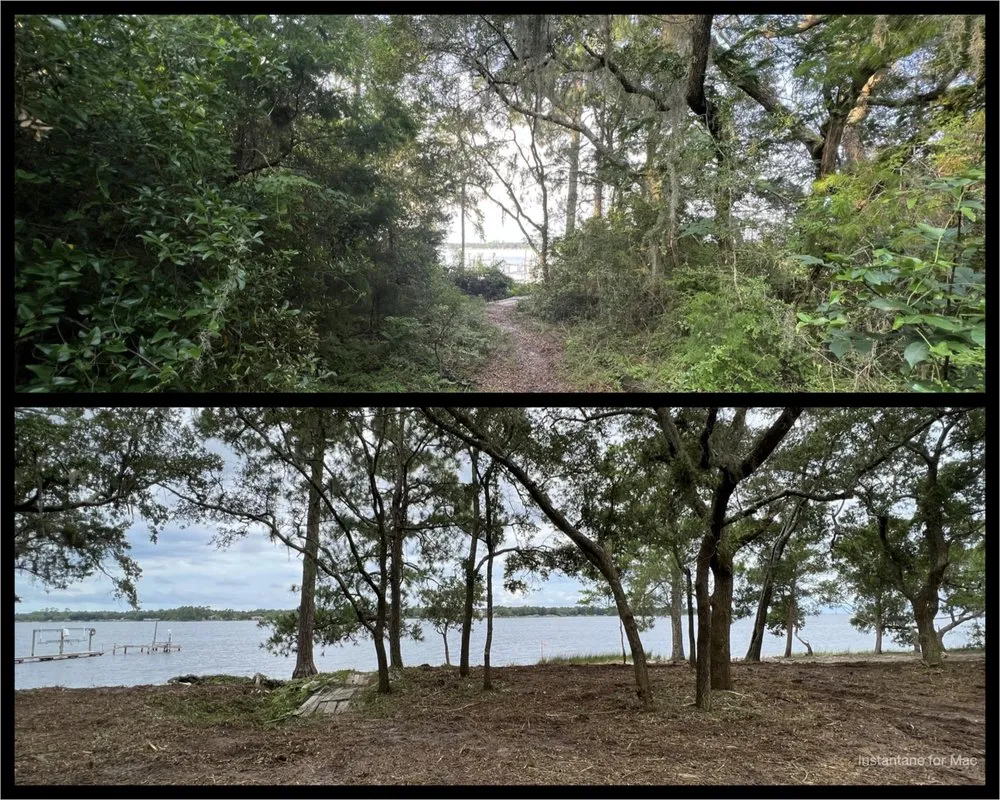 Affordable yard cleanup service in Navarre, FL - TreeWorks