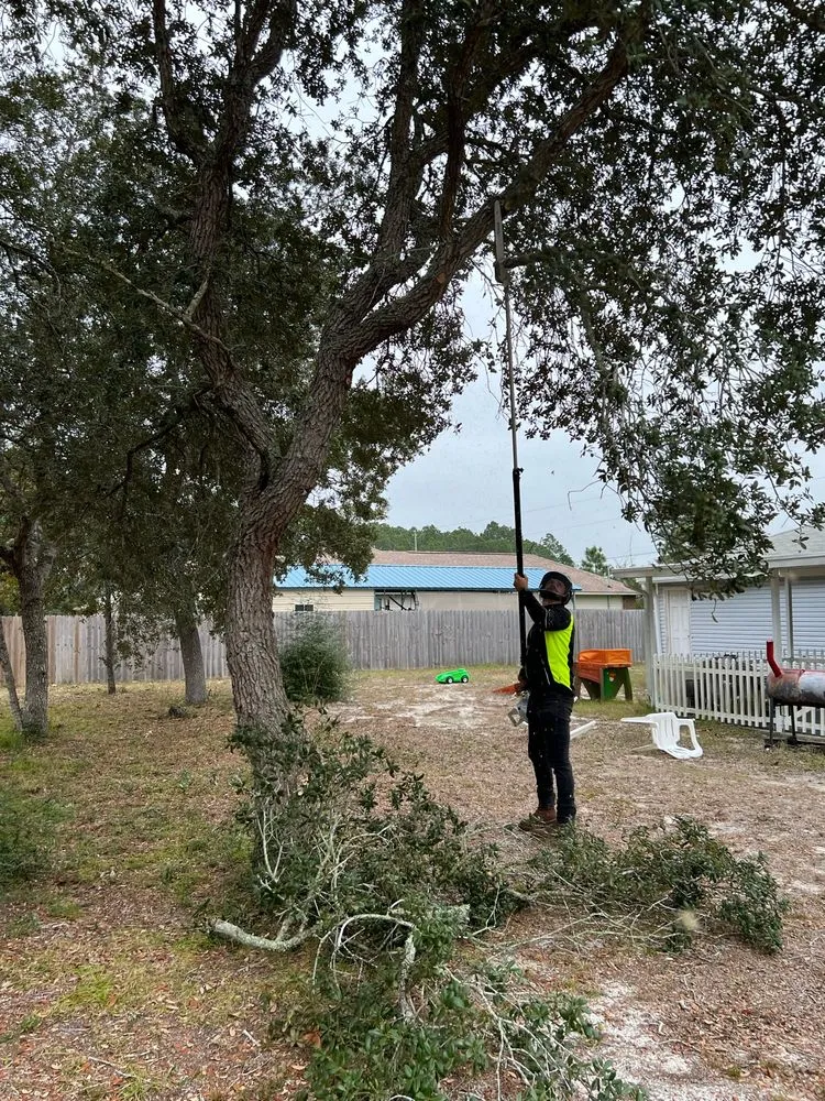 Custom residential landscaping in Navarre, FL by TreeWorks