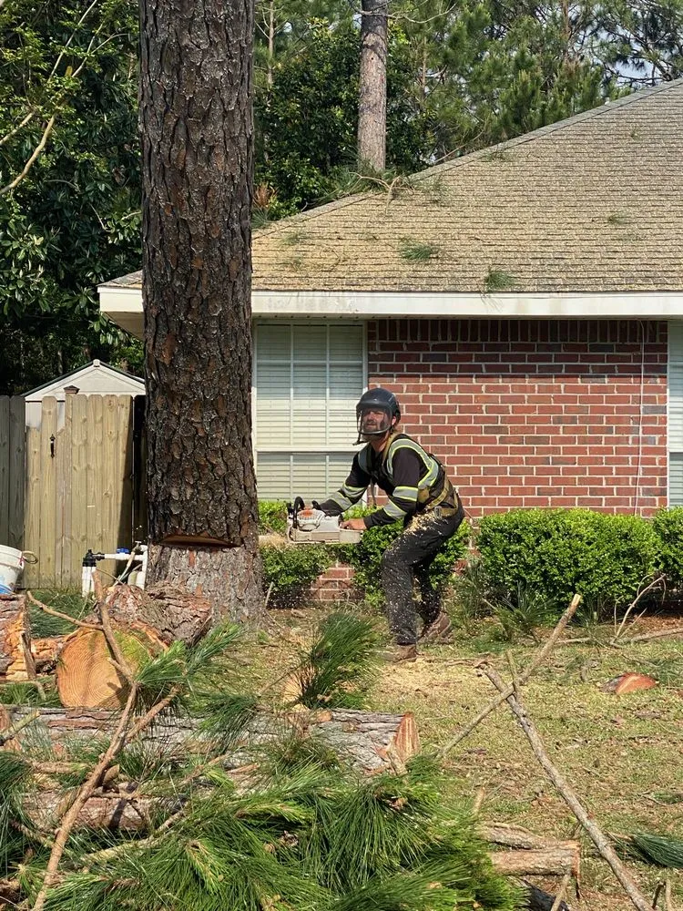 Top-rated yard maintenance in Navarre, FL - TreeWorks