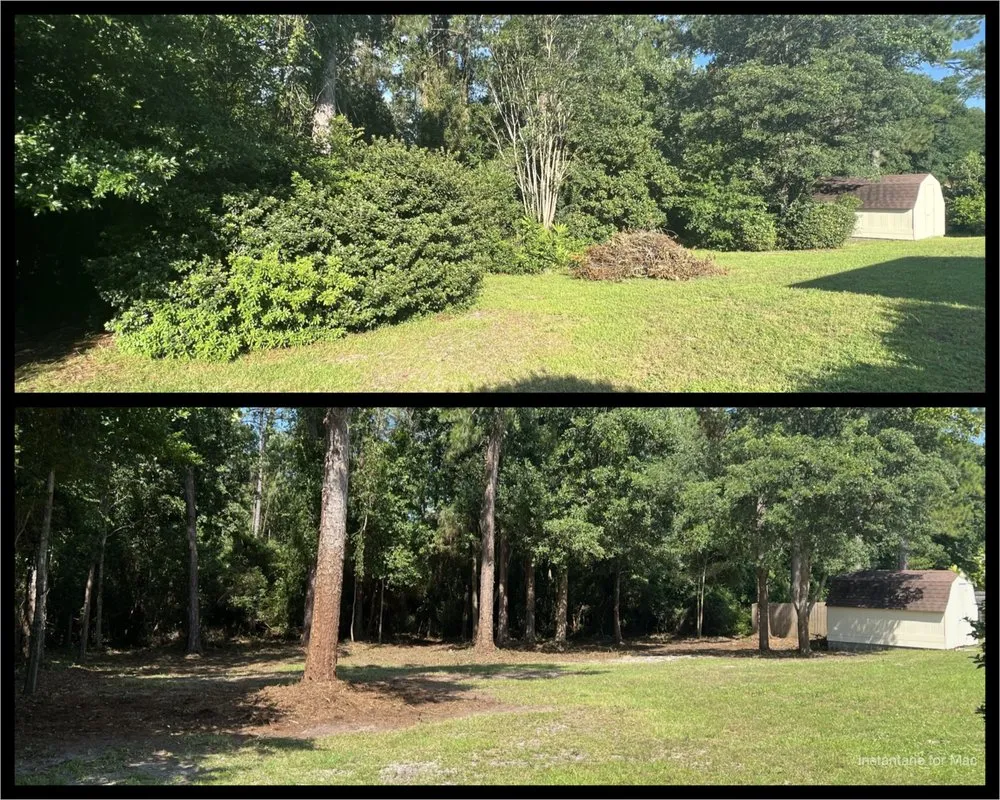 Trusted yard cleanup service with custom design in Navarre, FL by TreeWorks