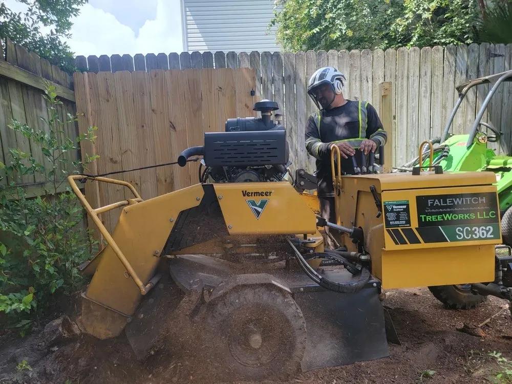 Professional landscaping services experts serving Navarre, FL - TreeWorks