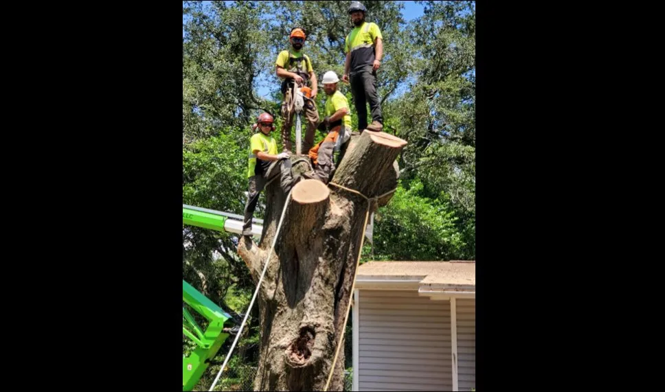 Trusted landscape installation experts serving Navarre, FL - TreeWorks