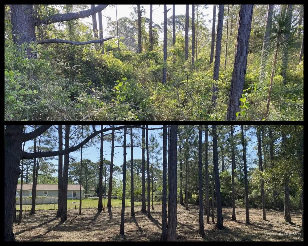 Affordable landscape installation with custom design in Navarre, FL by TreeWorks