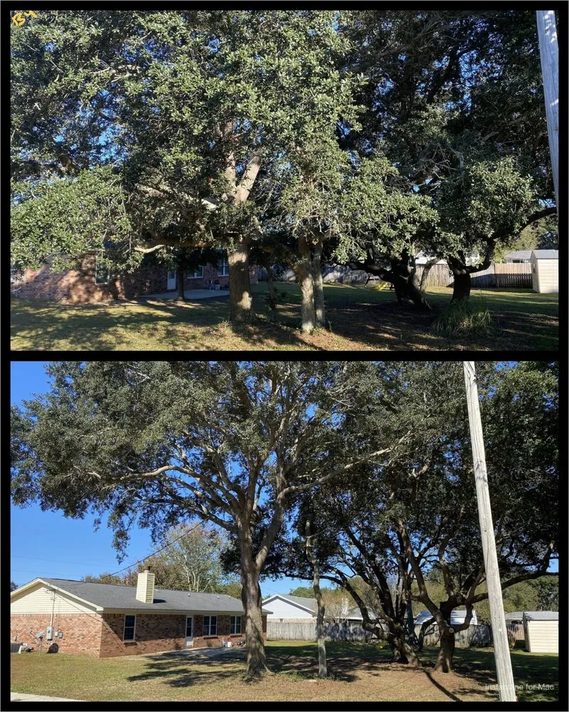 Top-rated residential landscaping in Navarre, FL - TreeWorks