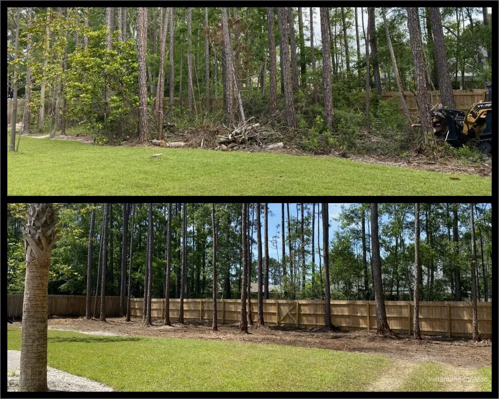 Professional garden landscaping for year-round maintenance across Navarre, FL - TreeWorks
