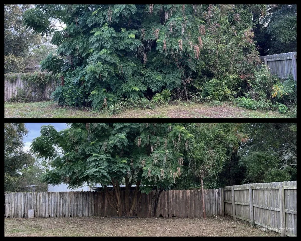 Custom residential landscaping experts serving Navarre, FL - TreeWorks