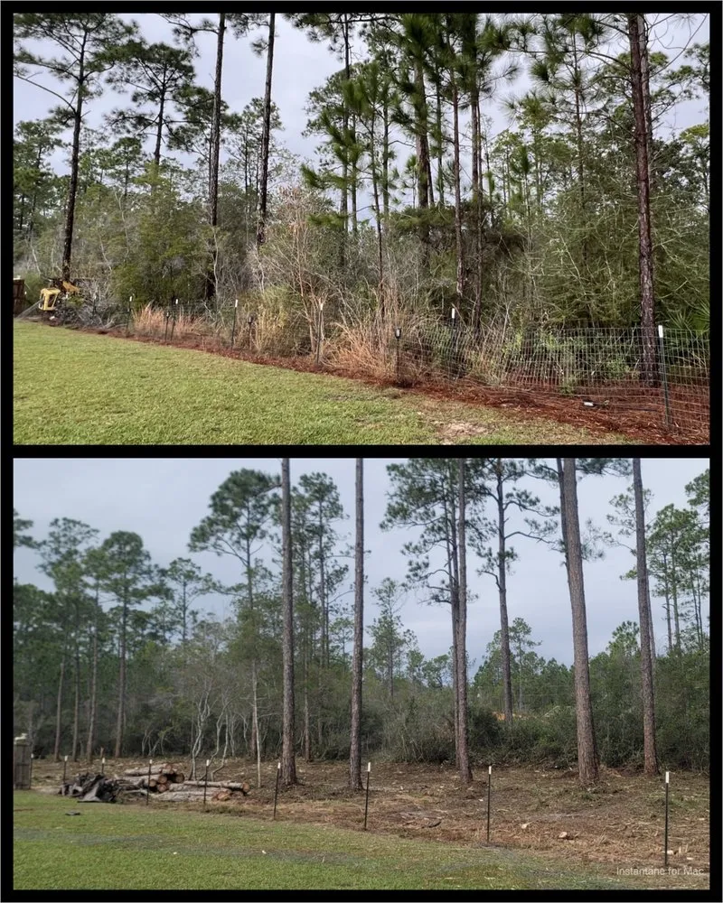Professional landscape installation for outdoor upgrades across Navarre, FL - TreeWorks