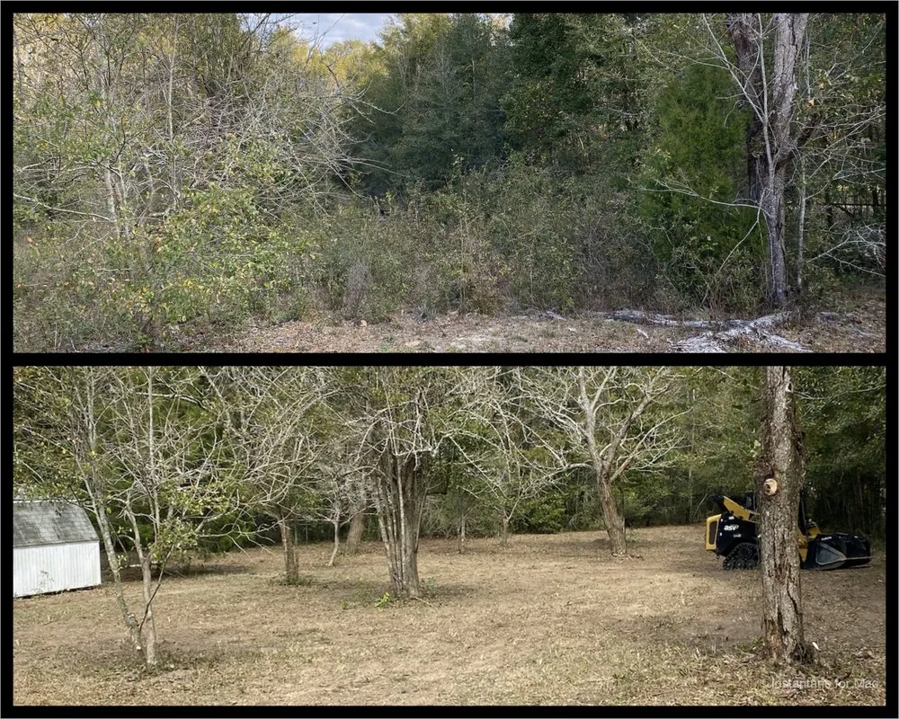 Top-rated landscaping services in Navarre, FL - TreeWorks