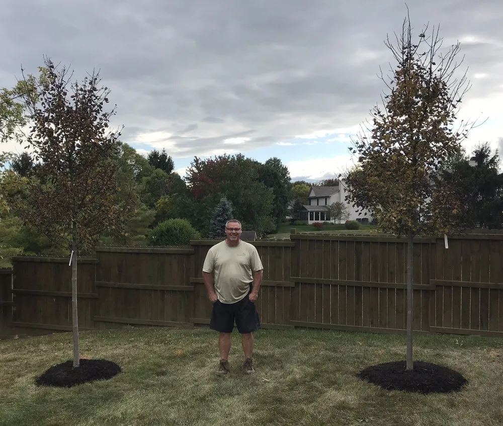 Trusted lawn care service experts serving Westfield, IN - Treeze