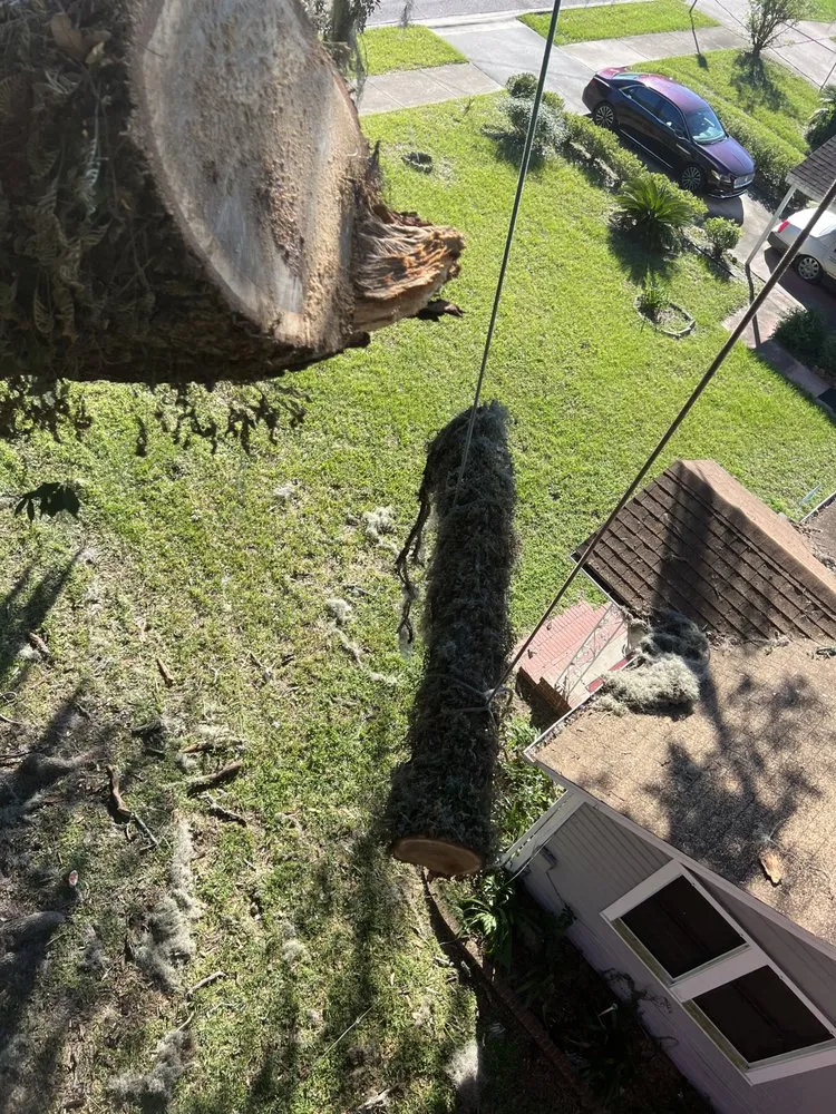 Top-rated landscape design in St. Augustine, FL by Treezy Peezy Tree and Lanscape