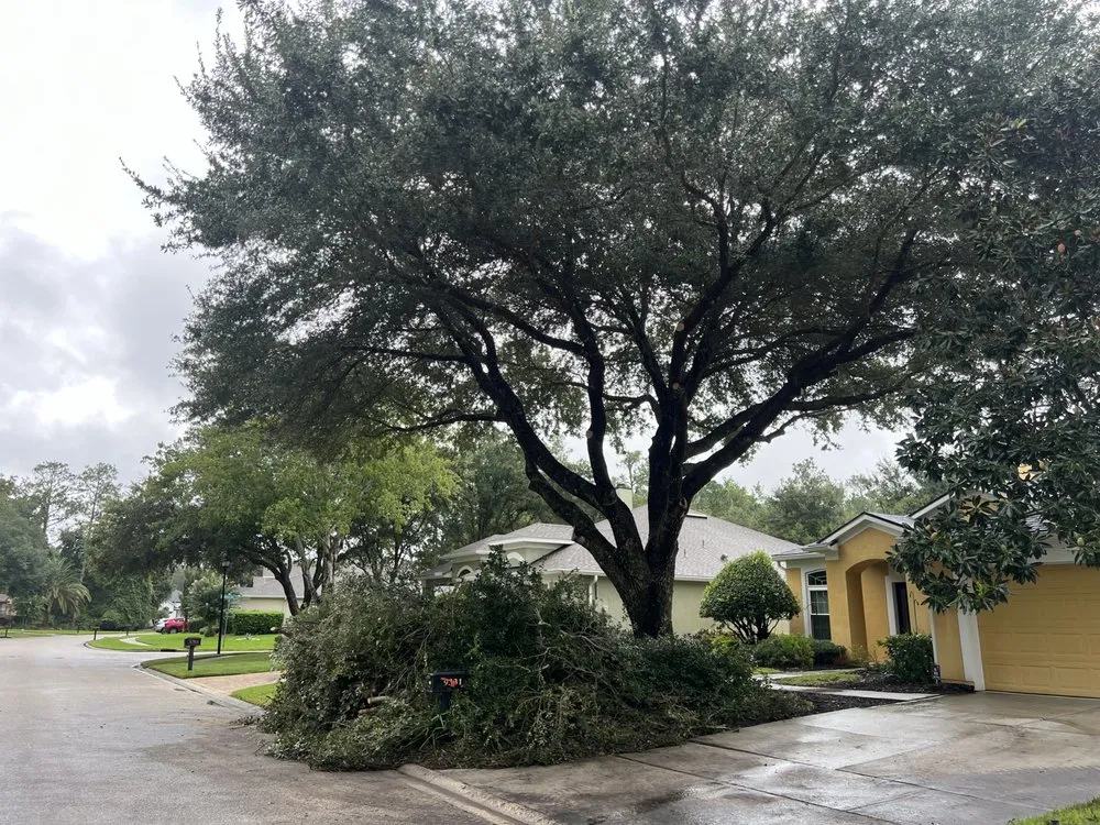 Custom landscape design in St. Augustine, FL - Treezy Peezy Tree and Lanscape